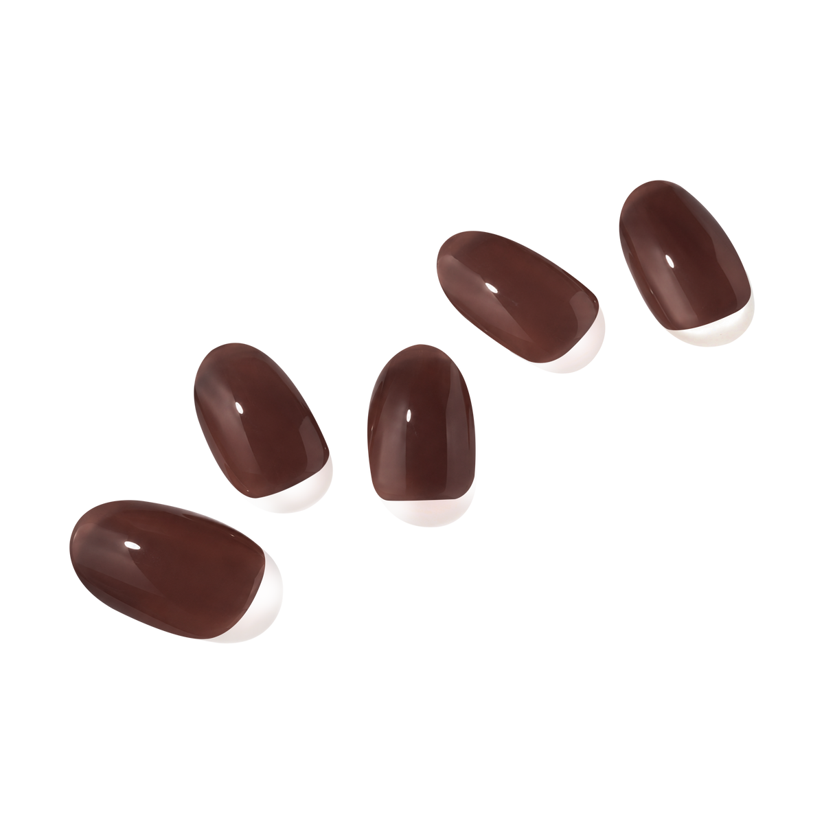 Sheer brown