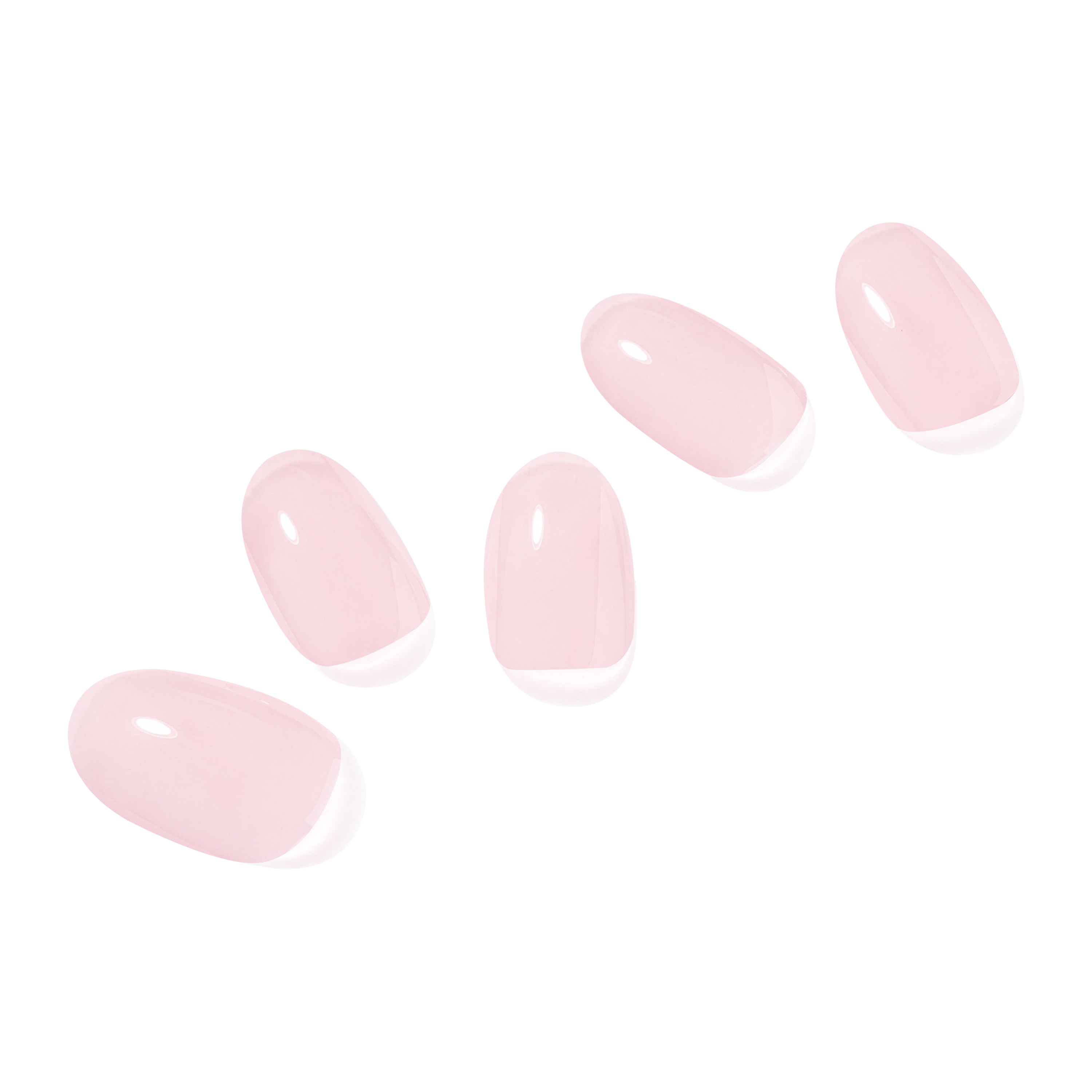 핑크 페탈 시럽 Pink Petal Syrup