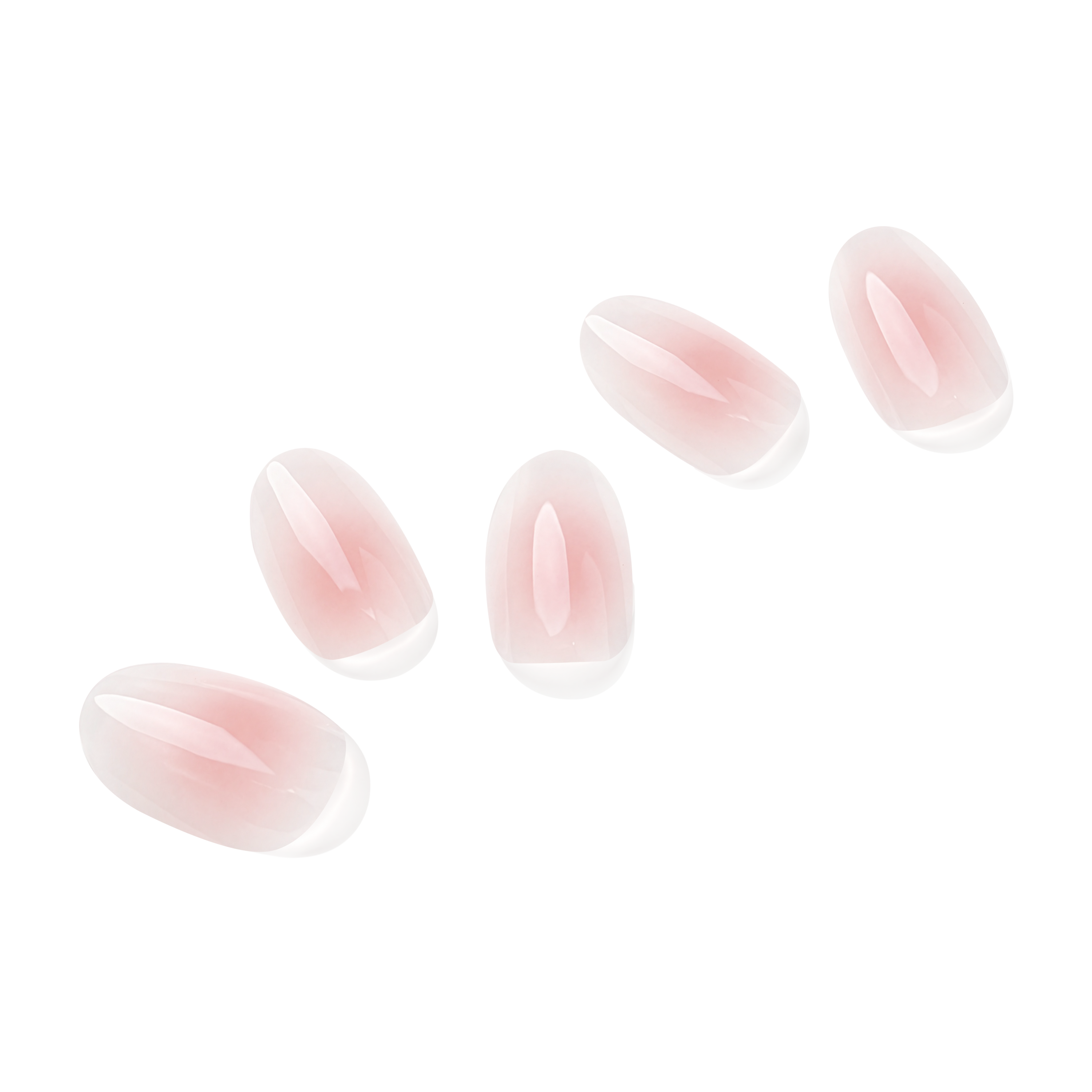 코랄 치크  Coral Cheek