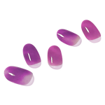 슈가 그레이프 Sugar Grape