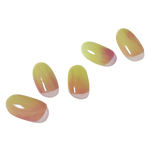 피그먼트 Figment