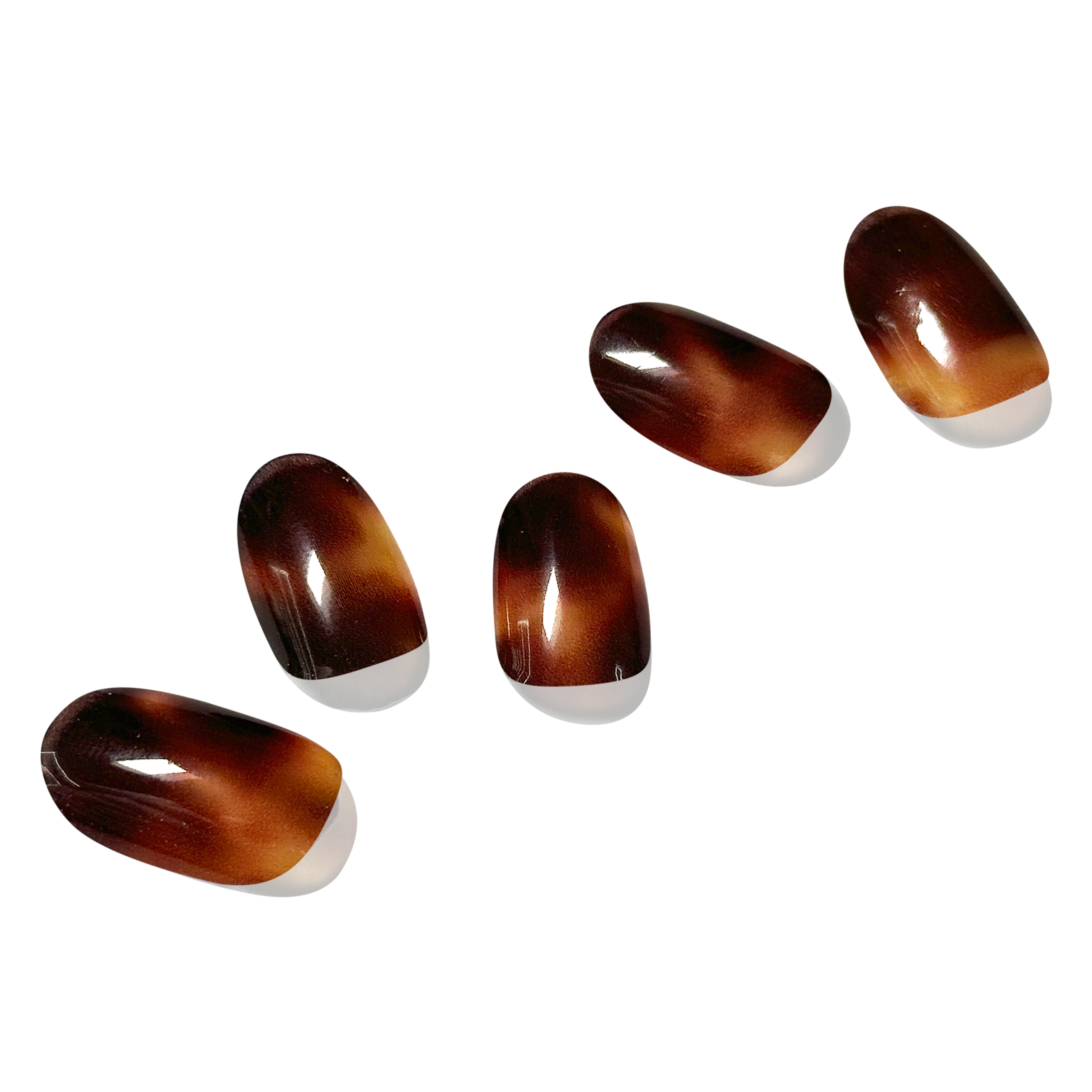 다크 엠버 Dark Amber