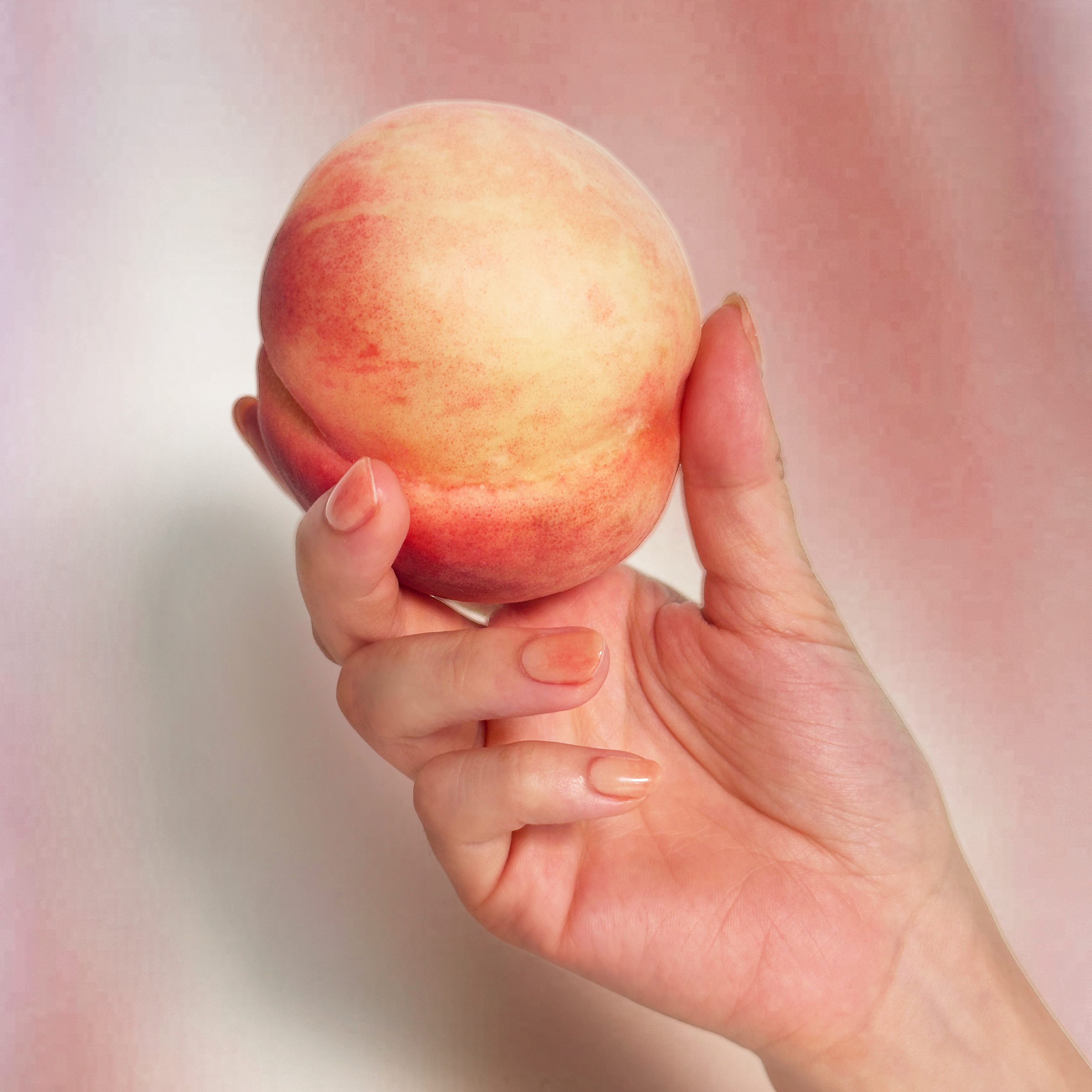 소프트 피치 Soft Peach