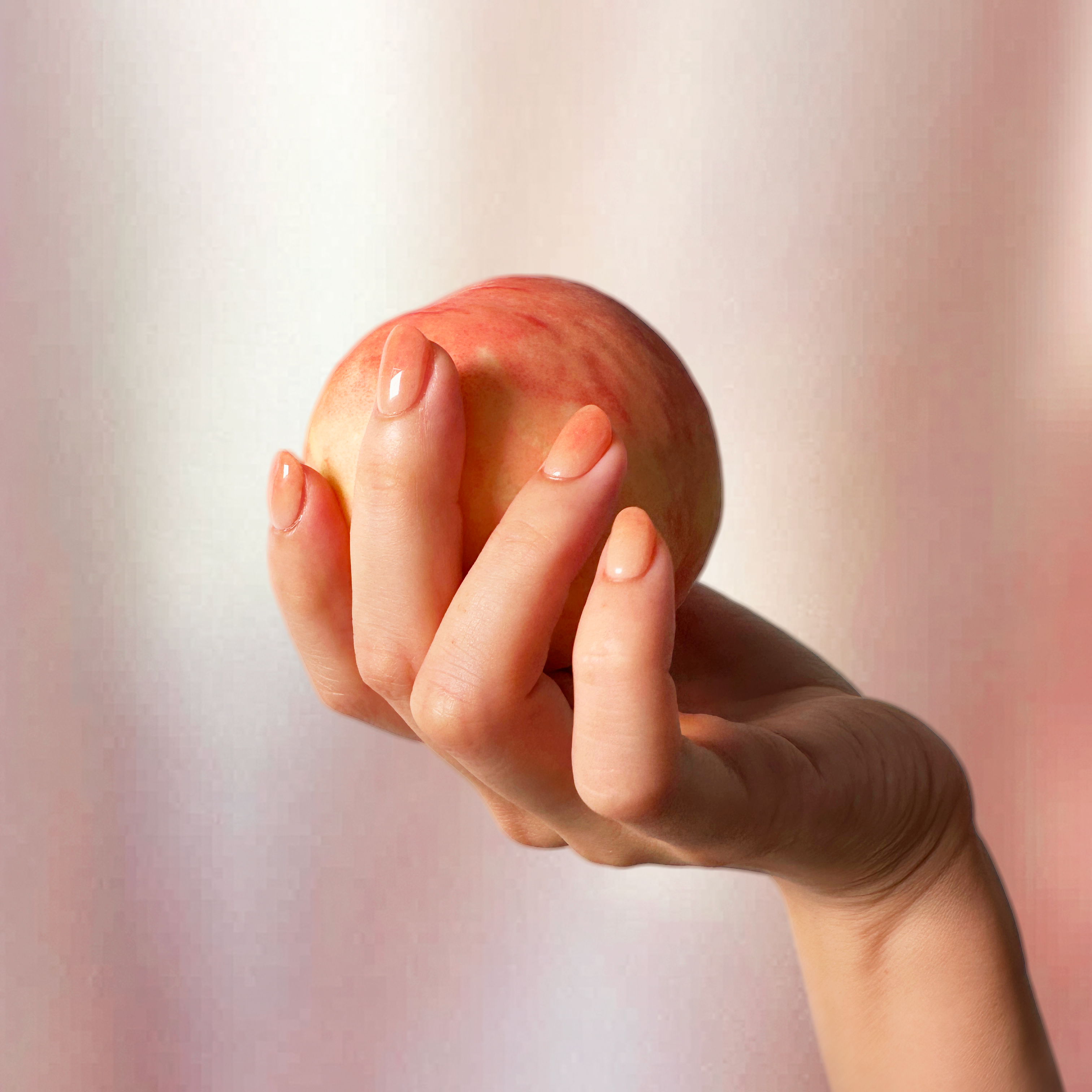 소프트 피치 Soft Peach