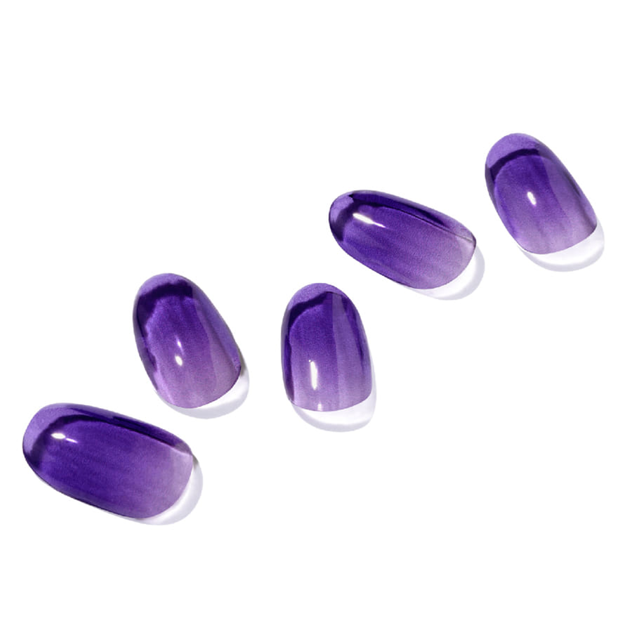 에센셜 컬러 세트 Essential Color set