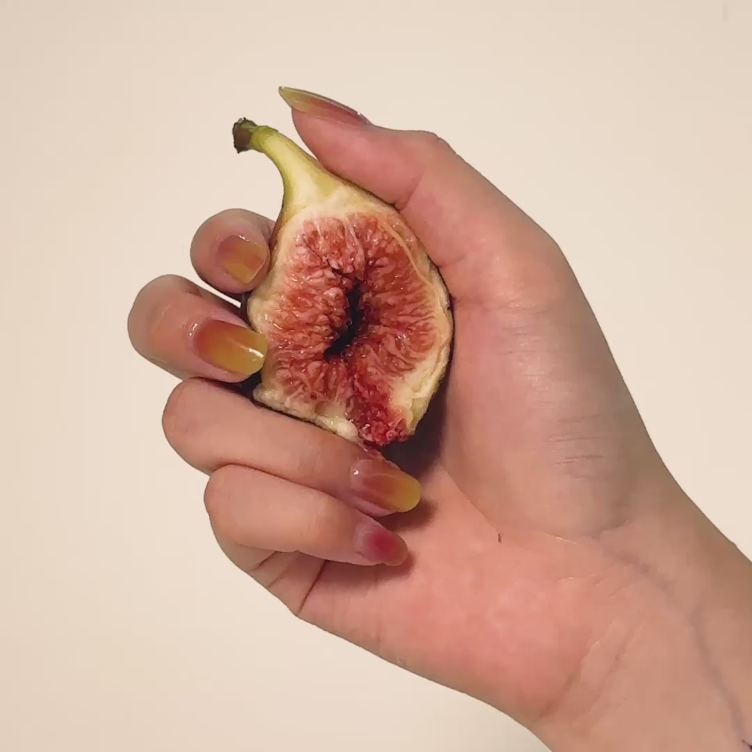 Video laden: Figment