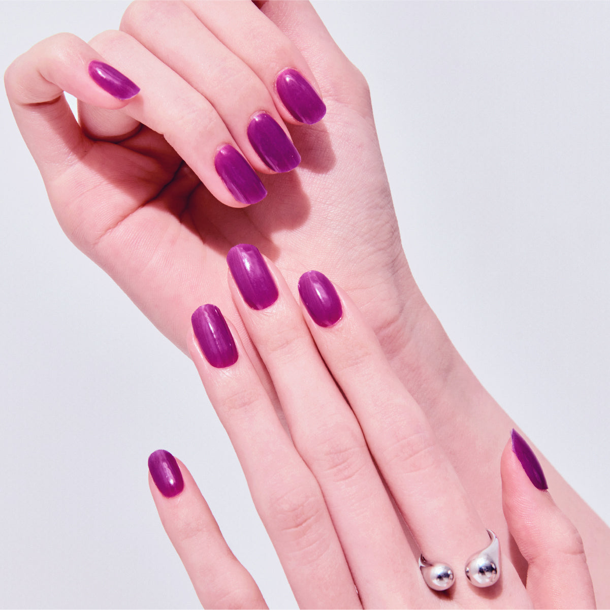 퍼펙트 퍼플 Perfect Purple