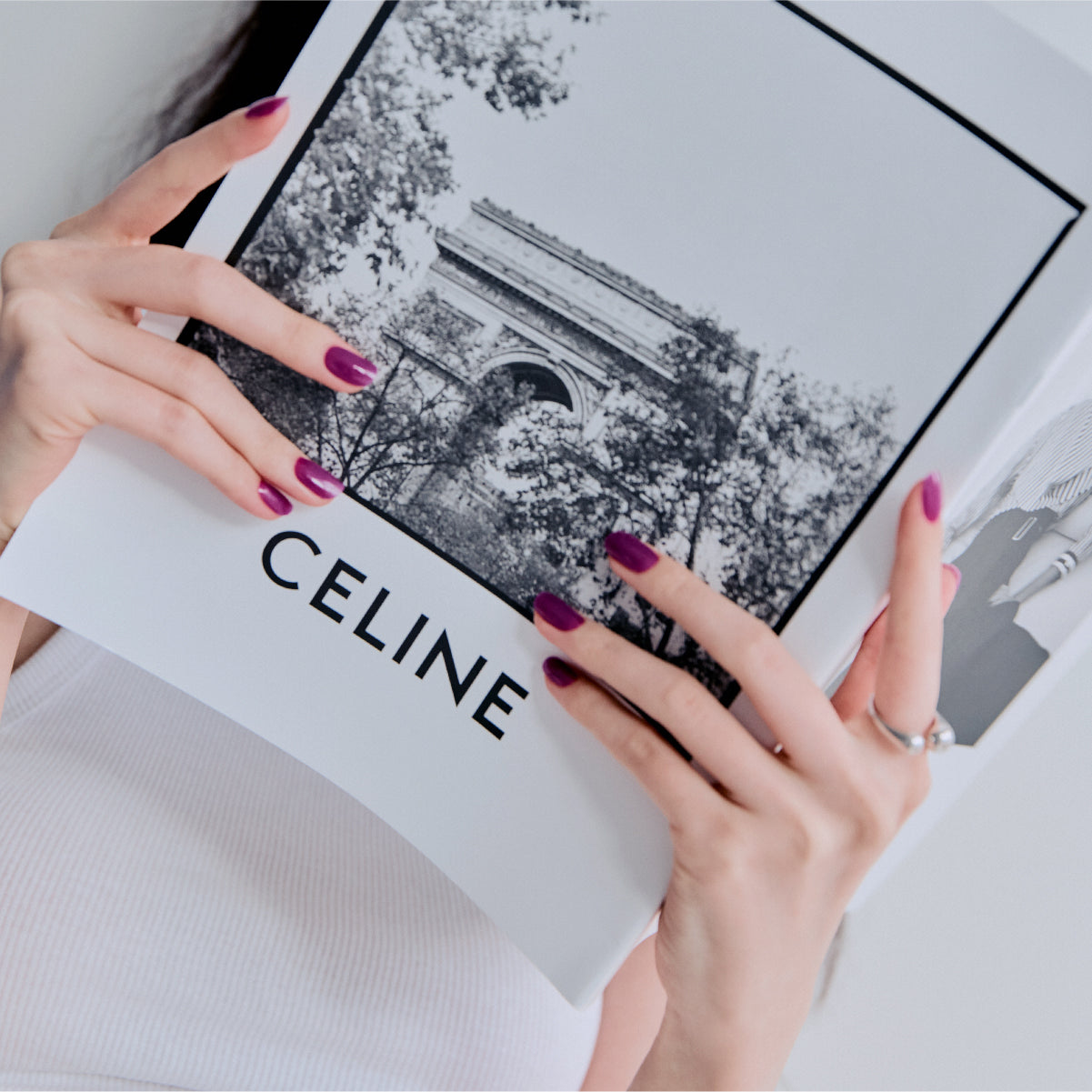 퍼펙트 퍼플 Perfect Purple