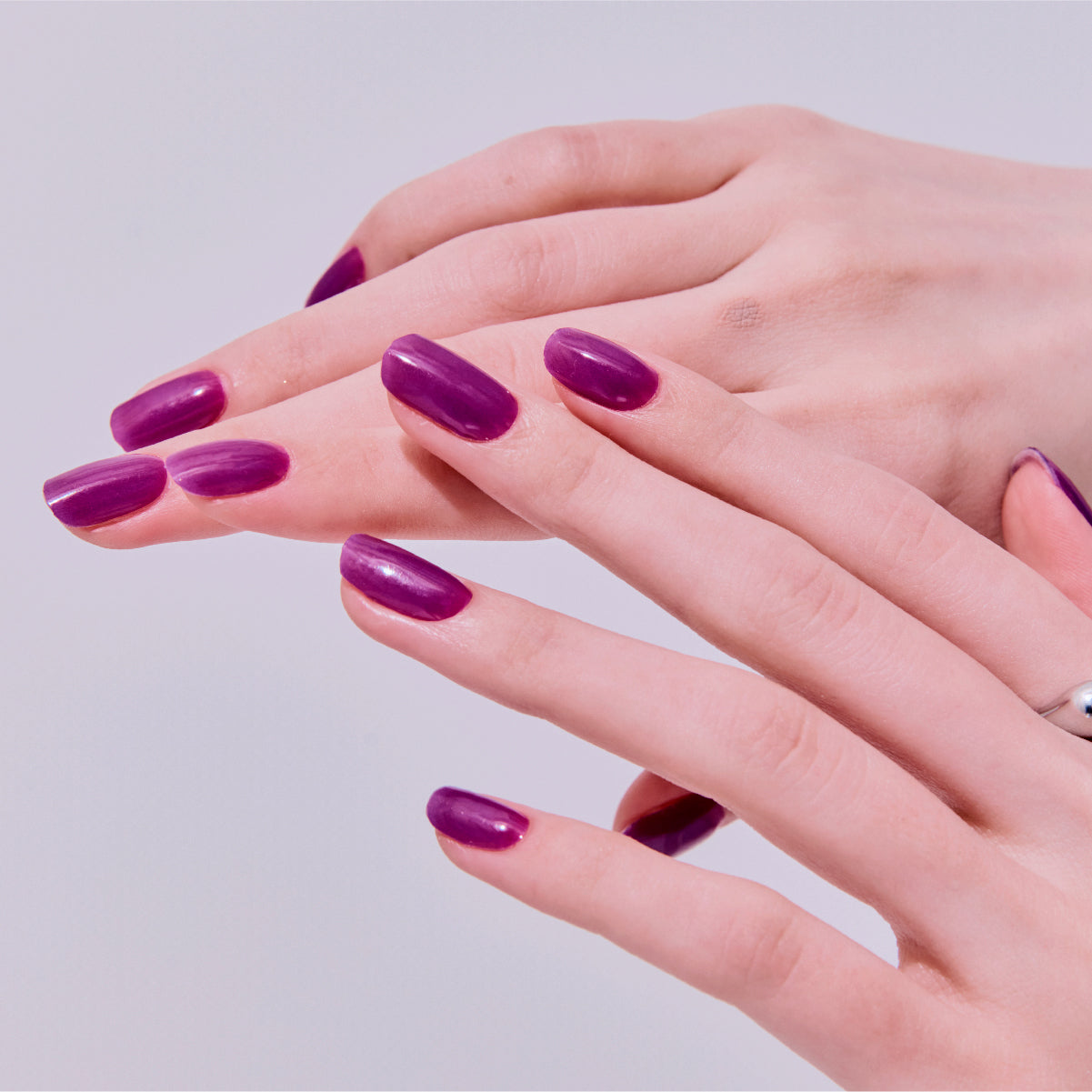 퍼펙트 퍼플 Perfect Purple